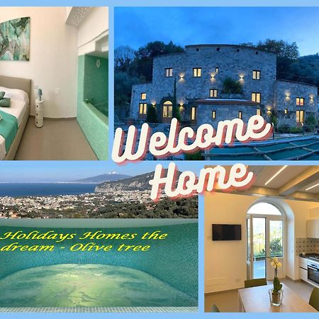 Holidays Homes The Dream Sant'Agnello Zewnętrze zdjęcie
