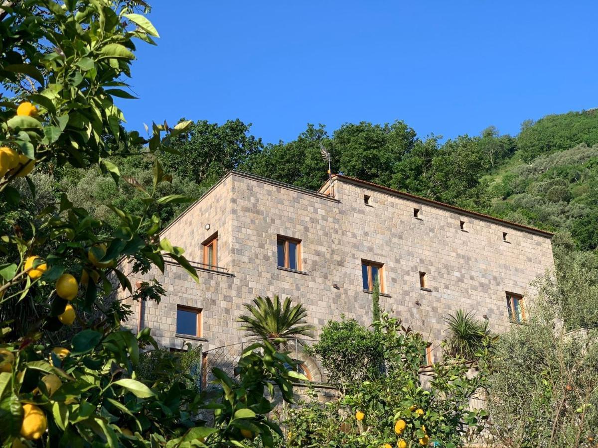 Holidays Homes The Dream Sant'Agnello Zewnętrze zdjęcie