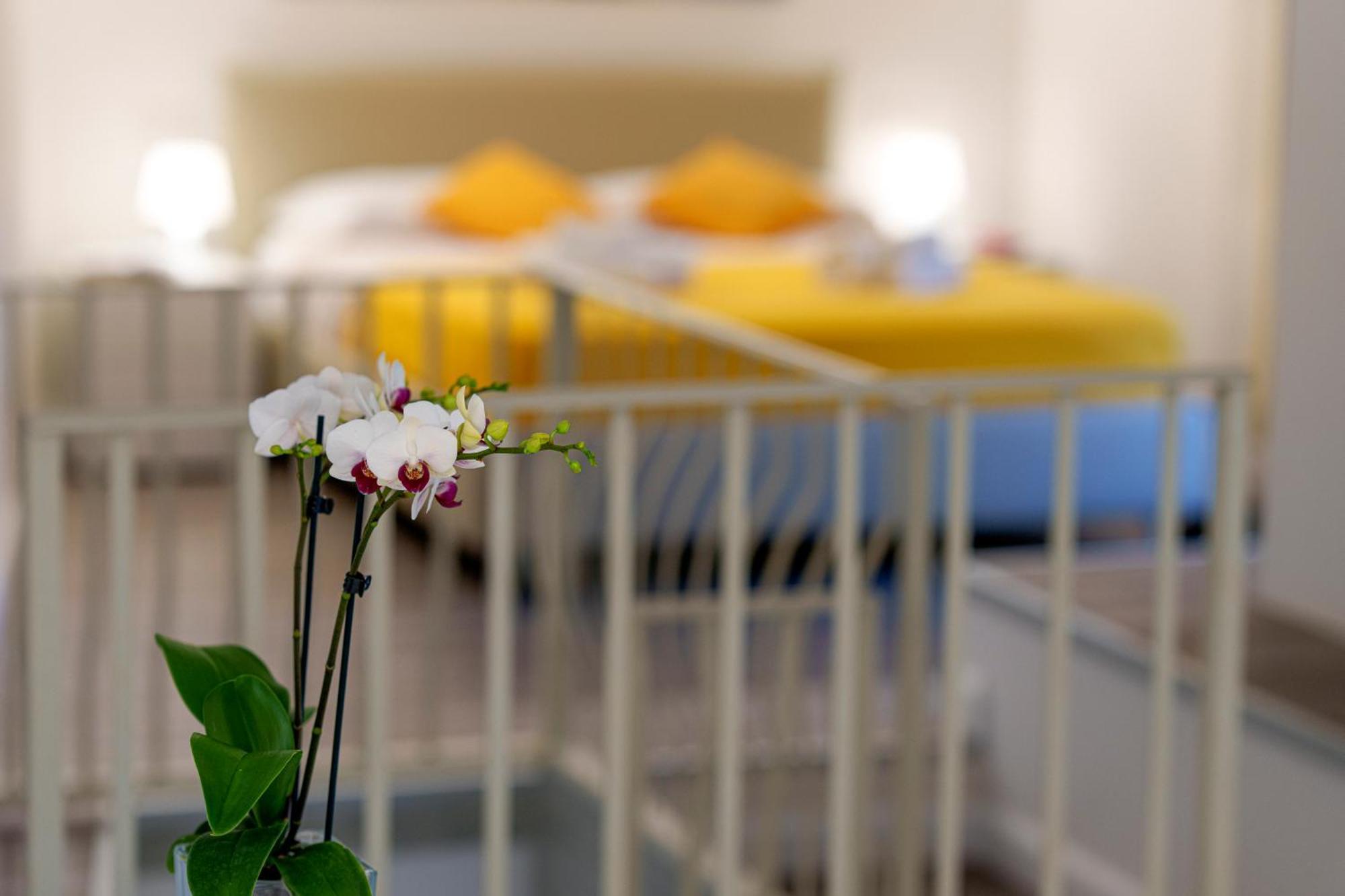 Holidays Homes The Dream Sant'Agnello Zewnętrze zdjęcie