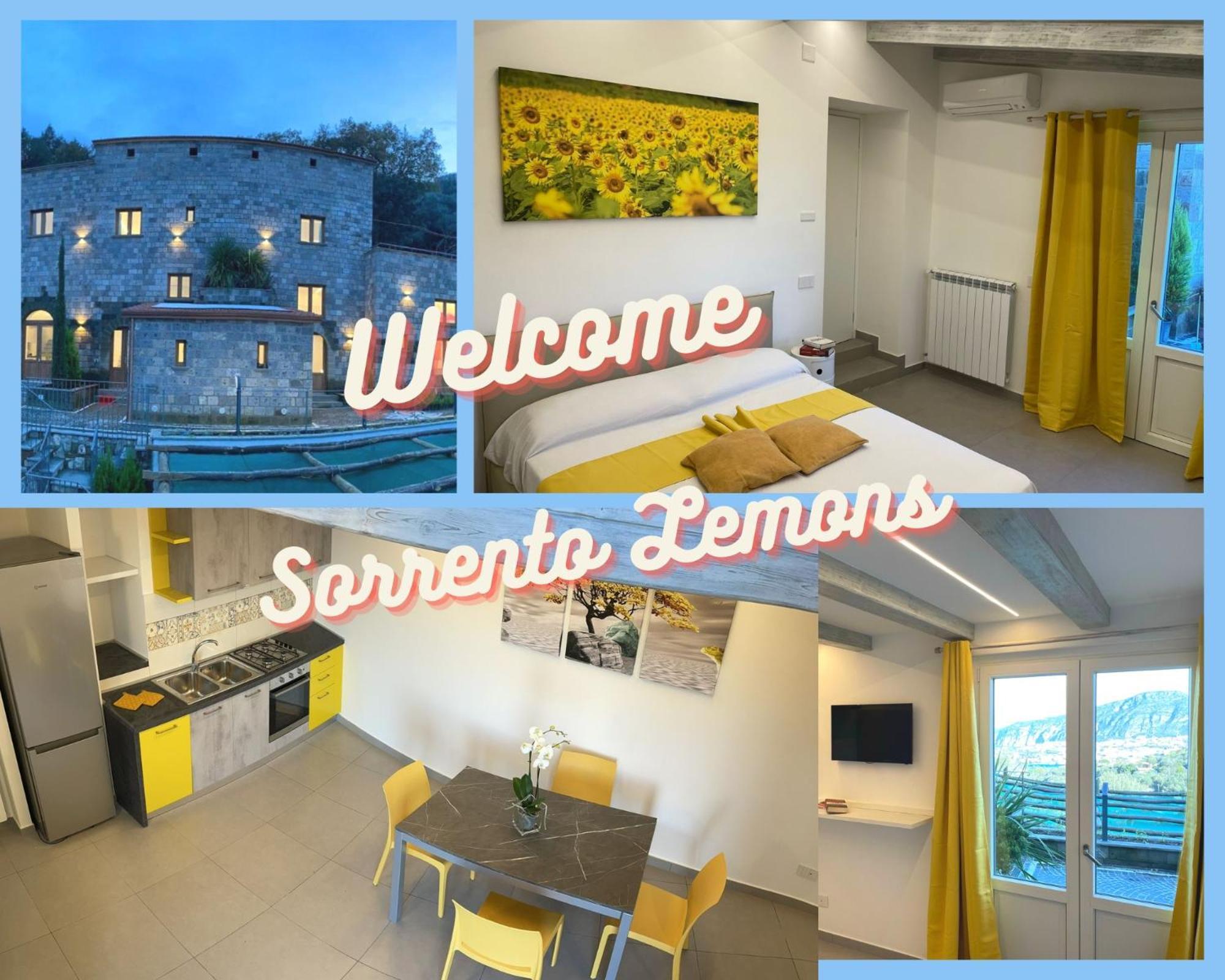 Holidays Homes The Dream Sant'Agnello Zewnętrze zdjęcie