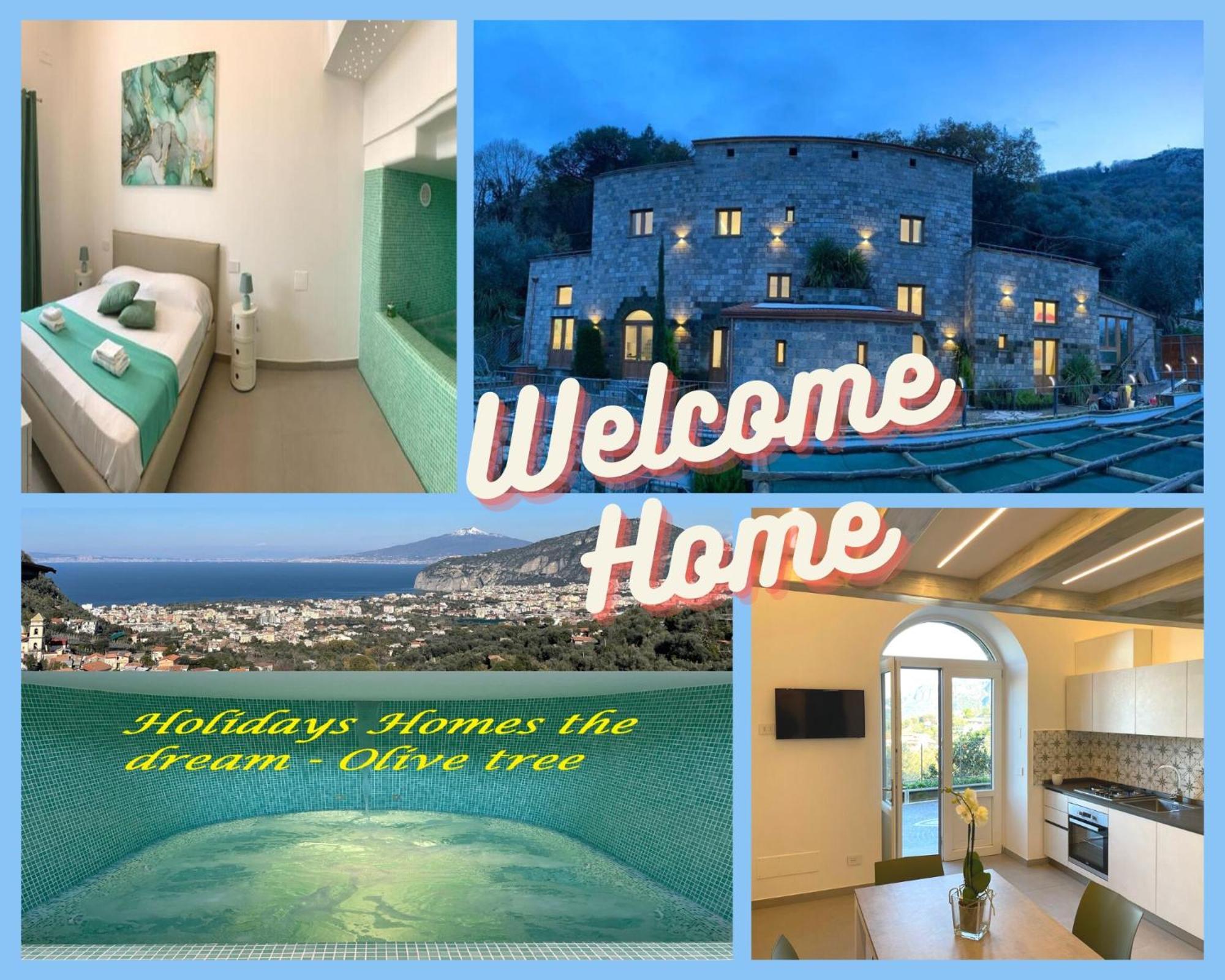 Holidays Homes The Dream Sant'Agnello Zewnętrze zdjęcie